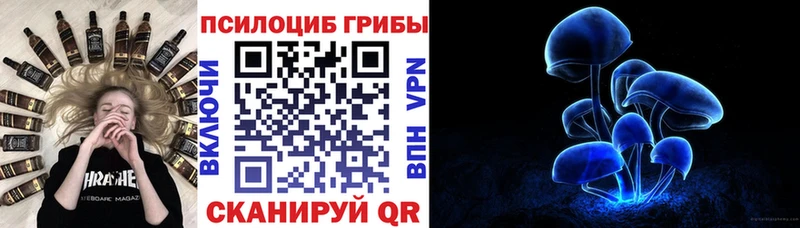 блэк спрут рабочий сайт  Фёдоровский  Псилоцибиновые грибы Cubensis 